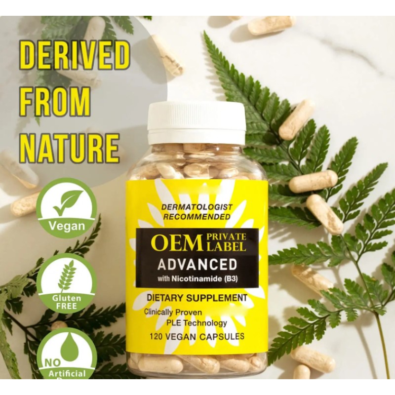 Wholesale Skin Whitening Capsules Nicotinamide B3 Supplement 500mg Health Antioxidant Rich Vitamin B3 Niacin Vegan Capsules