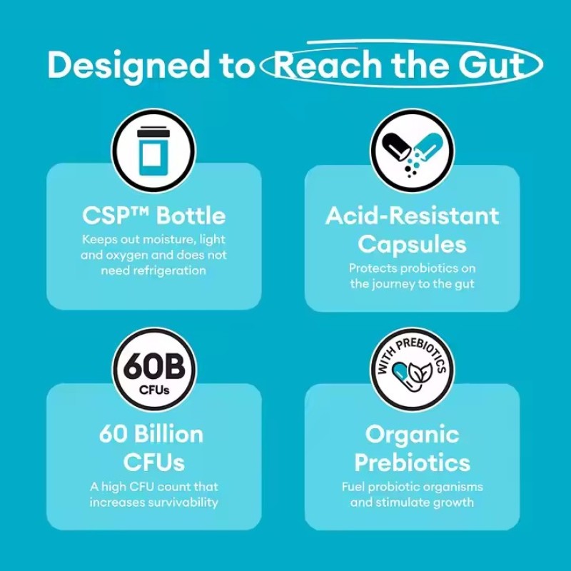 Probiotics Capsules 60 Billion CFU  Digestive Gut Health Probiotics Supplement for Women & Men