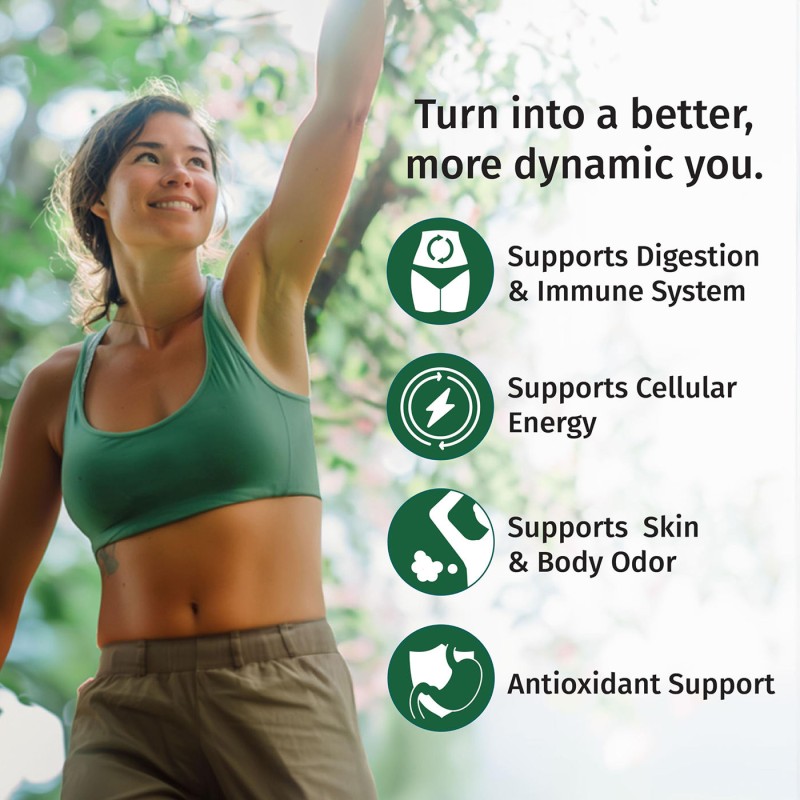 OEM 4-in-1 Vegan Chlorophyll Liquid Drops  with Copper for Energy, Gut, and Skin Health