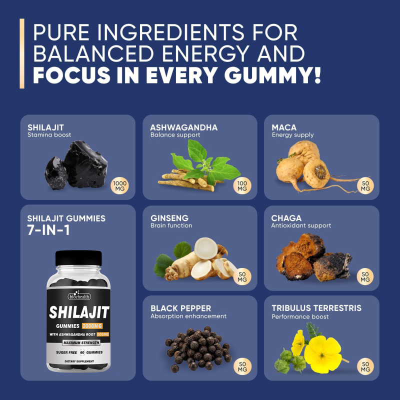 OEM Himalayan Shilajit Gummies - Brain & Heart Support with Fulvic Acid | Sugar-Free Immune Booster for Men and Women