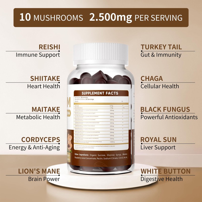 Hot Selling Mushroom Gummies for Brain Boost, Immune Support & Energy  10 Blend Formula for Men & Women