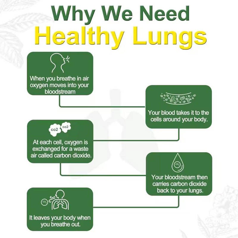 Private Label Mullein Leaf Gummies With Quercetin for Respiratory Support and Digestive Health - Lung Cleansing Formula