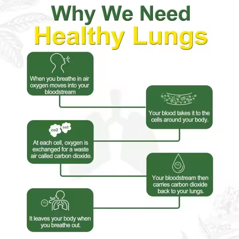 Premium Mullein Leaf Gummies 2000mg with Quercetin and Bromelain for Lung Detox and Respiratory Support