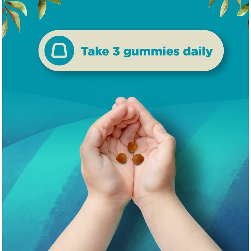 OEM Vegan Kids Focus Gummies - Vitamin B6, B12, Bacopa, Enhanced Focus & Energy