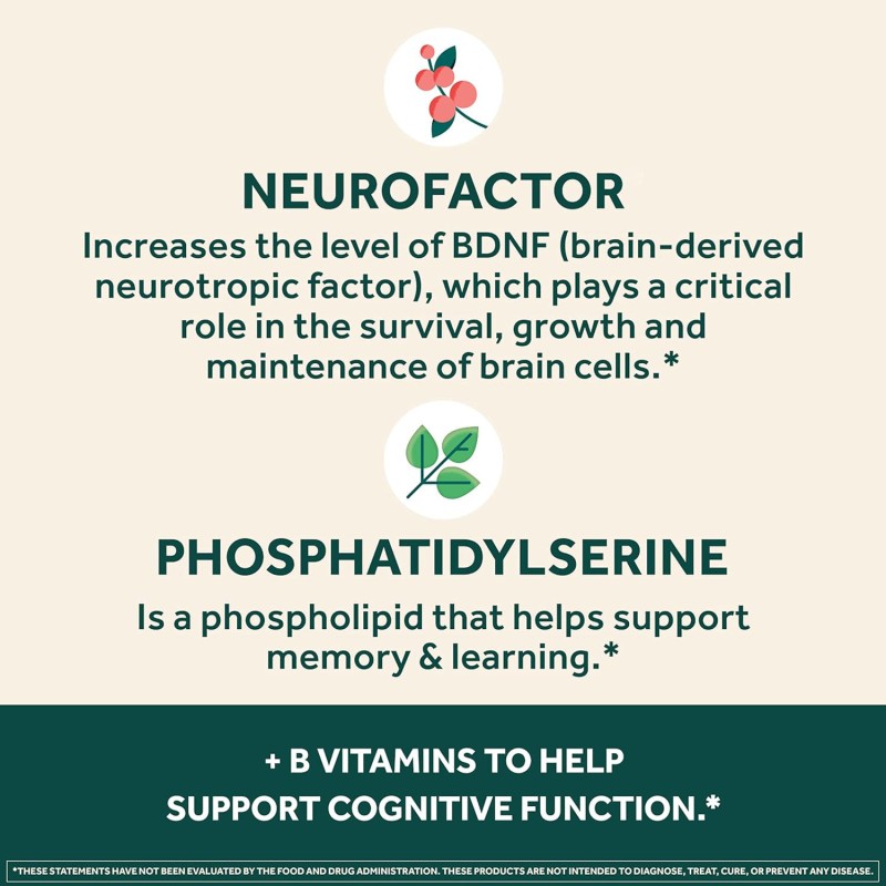 OEM Private Label Brain Booster Supplements Enhance Memory and Focus Nootropic Brain Capsules