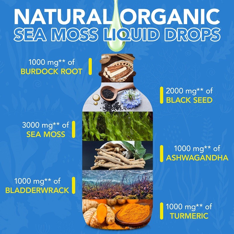 Organic Seaweed Black Seed Oil Dietary Supplement Liquid Drops Ashwagandha for Hair Skin Health Pregnant Women Antioxidant