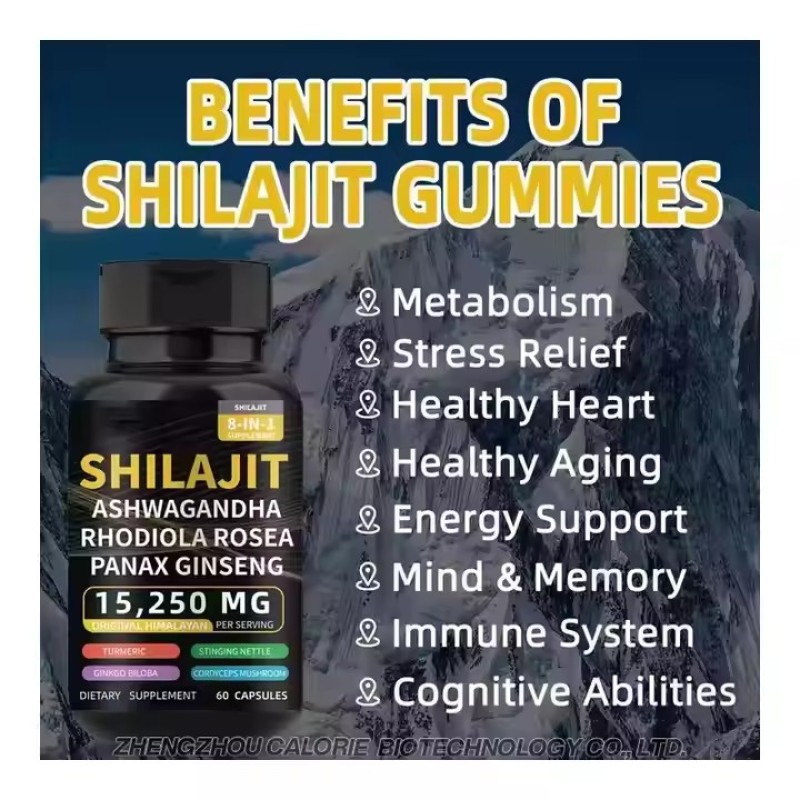 60 Shilajit Vegan Capsules Pure Himalayan Energy Booster with Ashwagandha Panax Ginseng for Adults Pregnant Women Safe