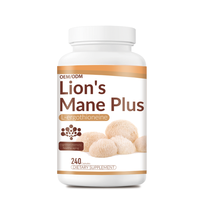 OEM Private Label Lion's Mane Mushroom Capsules Manufacturer - Pure Hericium Erinaceus Powder Quality Supplements with Custom Formula
