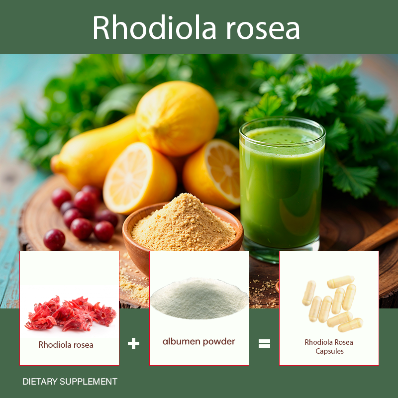 OEM Private Label Herbal Extract Rhodiola Rosea Capsules Factory - Natural Rhodiola Rosea Extract Powder with Custom Manufacturing
