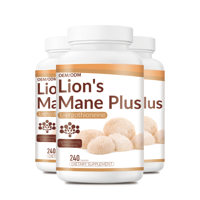 OEM Private Label Lion's Mane Mushroom Capsules Manufacturer - Pure Hericium Erinaceus Powder Quality Supplements with Custom Formula