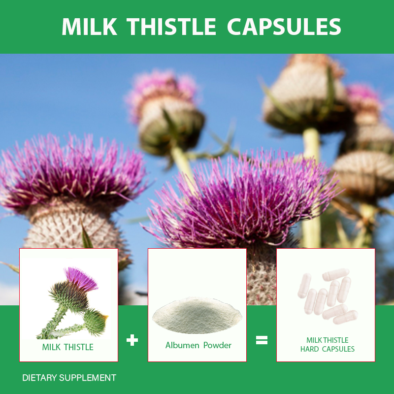 OEM Milk Thistle Extract Capsules Factory - Liver Detox Slimming Health Supplement Milk Thistle Softgels with Private Label