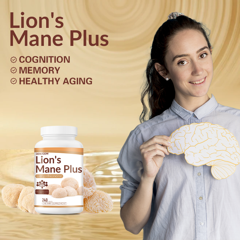 OEM Private Label Lion's Mane Mushroom Capsules Manufacturer - Pure Hericium Erinaceus Powder Quality Supplements with Custom Formula
