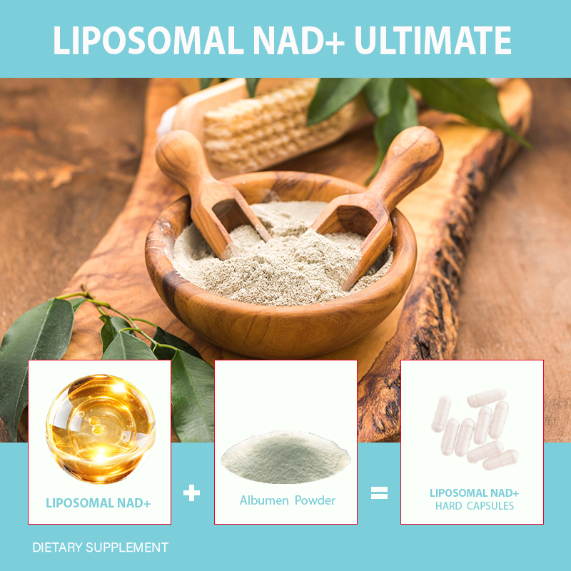 OEM High-Potency Liposomal NAD+ 1000mg Capsule Manufacturer - Liposomal NAD+ Dietary Supplement Max Absorption Healthcare