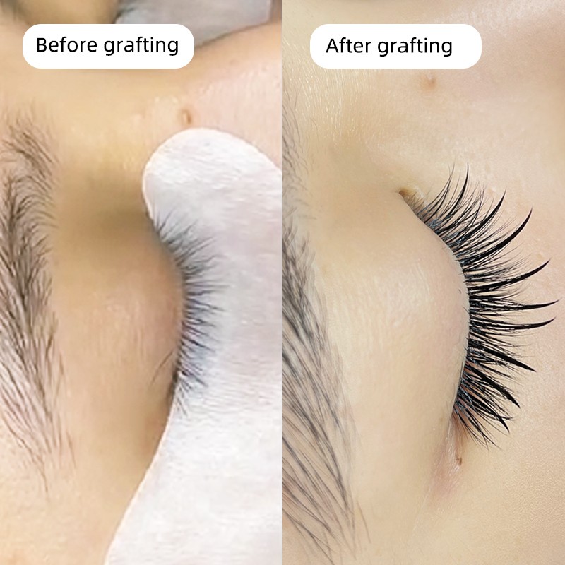 Cashmere Lash Extensions Manufacturer - Premade Trays Starter Kit