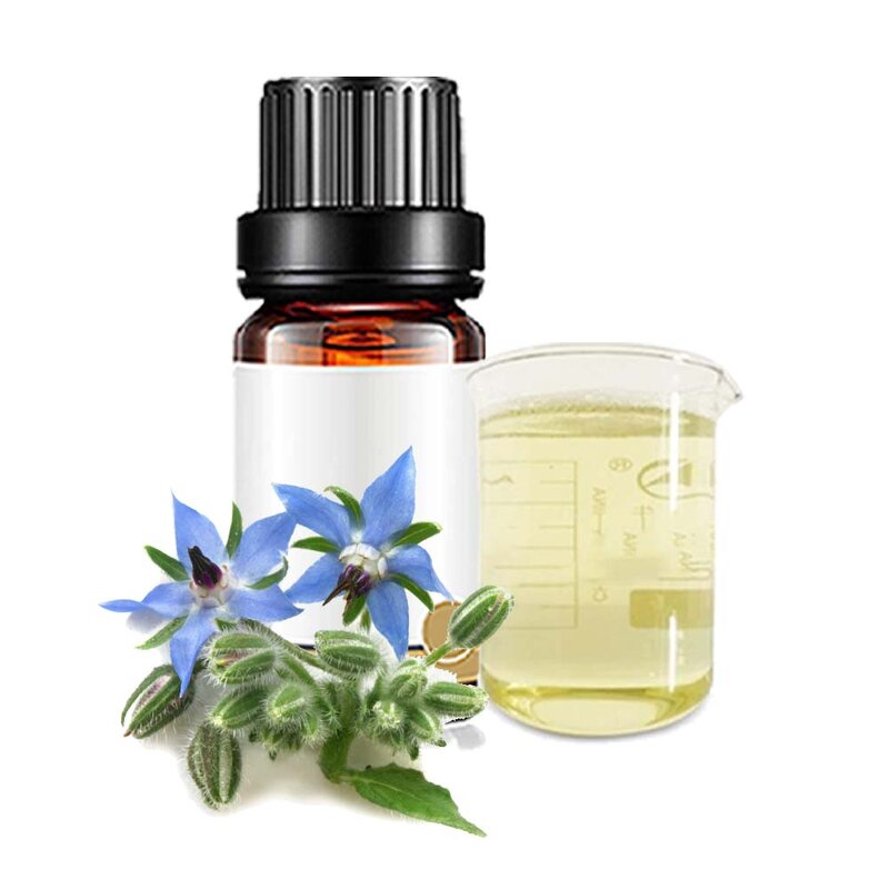 Borage Seed Oil Manufacturer - Pure Natural Extract for Cosmetics and Soap Base