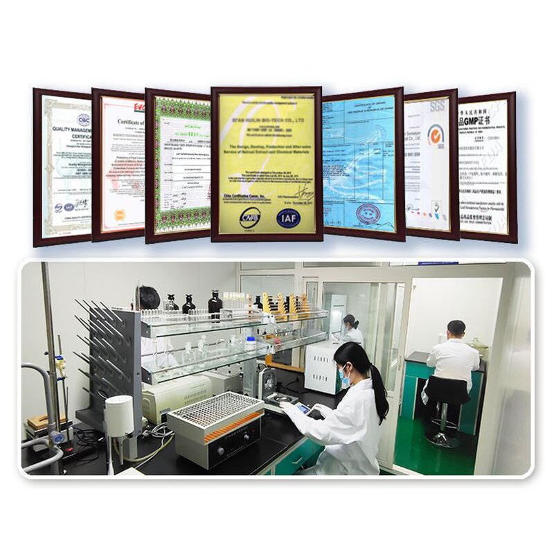 Hawthorn Berry Powder Manufacturer - Pure Natural Fruit Extract Plant Powder