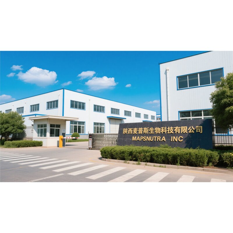 Sophora Japonica Extract Manufacturer - 95% Rutin Powder NF11 CAS 153-18-4 for Cosmetic Antioxidants