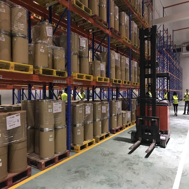 Food Grade Coconut Plant Extract Powder Manufacturer - Organic & Pure