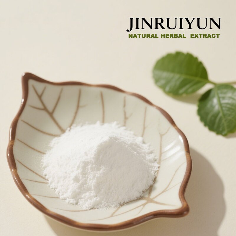 Organic Aloe Vera Gel Powder Manufacturer - Food Grade Herbal Extract, Vacuum Packed