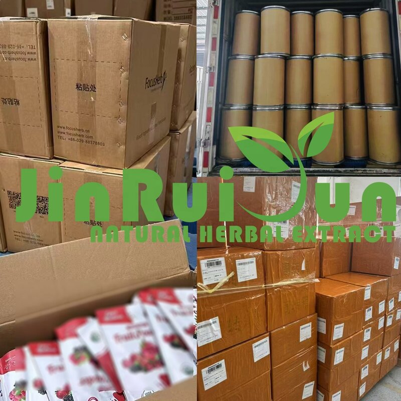 Coriolus Versicolor Extract Powder Manufacturer - Alpha Arbutin, Vacuum Packed