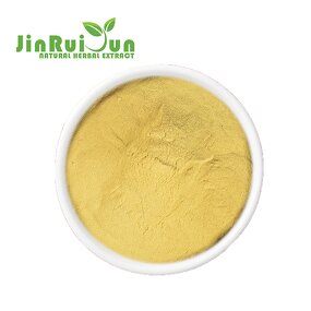 Freeze Dried Fig Powder Manufacturer - Organic Superfood Natural