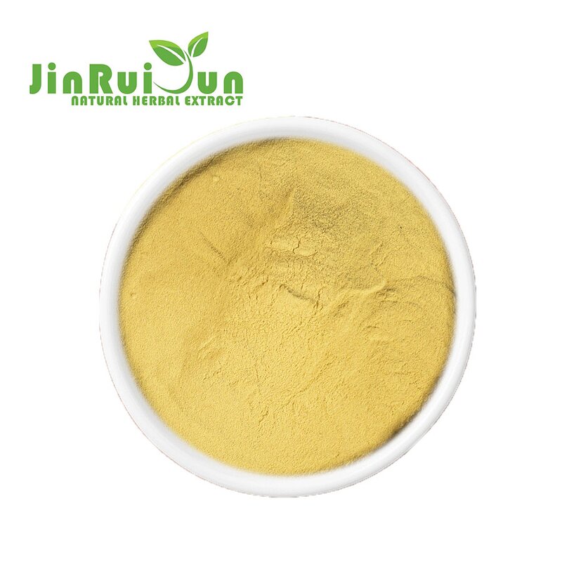 Freeze Dried Fig Powder Manufacturer - Organic Superfood Natural