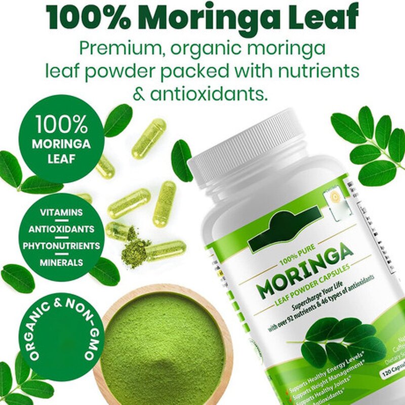 Moringa Oleifera Leaf Extract Capsule Manufacturer - 1000mg Organic Supplement for Metabolism & Immune Support