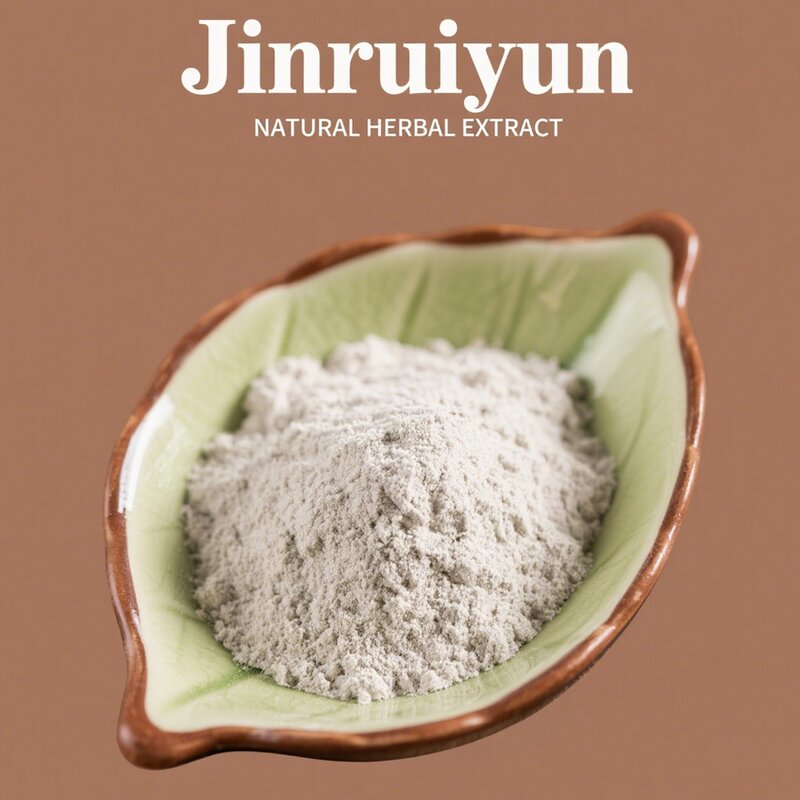 Garlic Extract Allicin Powder Manufacturer - 100% Pure Food Grade, Vacuum Packed