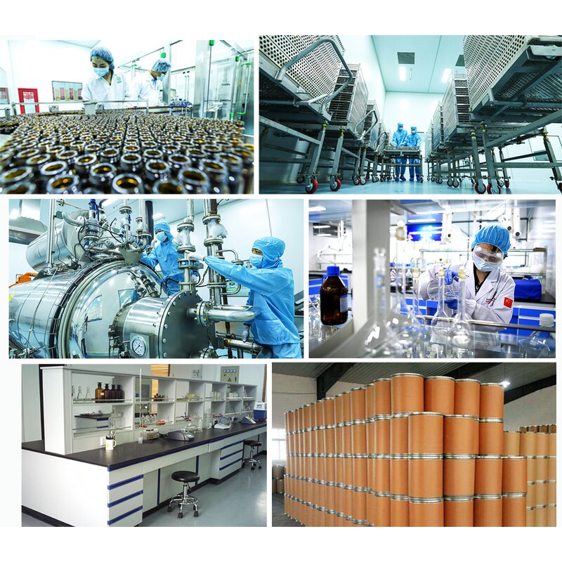 Sepiwhite MSH Powder Manufacturer - CAS 175357-18-3 Undecylenoyl Phenylalanine for Cosmetics