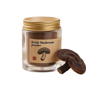 Ganoderma Lucidum Extract Powder Manufacturer - Food Grade, Vacuum Packed