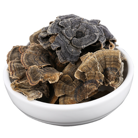 Coriolus Versicolor Capsules Manufacturer - 100% Pure Mushroom Extract Food Grade