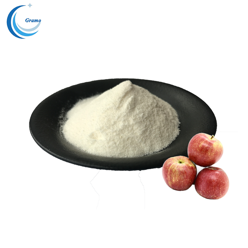 Natural Fruit Juice Powder Manufacturer - Red Apple Powder