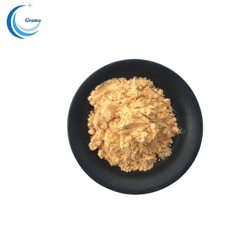 Papaya Powder Manufacturer - Natural Fruit Juice Powder