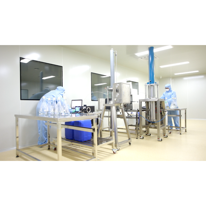 Natural Fruit Pear Powder Manufacturer - Dried Pear Powder for Food & Beverage