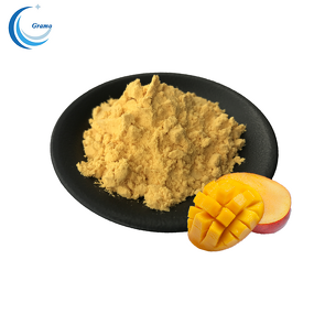 Natural Fruit Juice Powder Manufacturer - Mango Powder for Food & Beverage