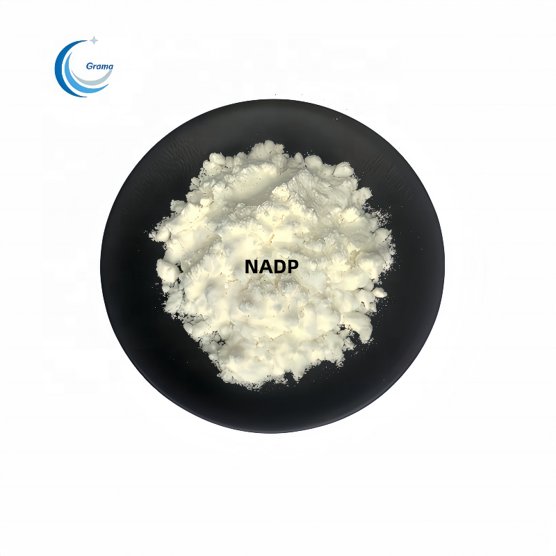 NADP Manufacturer - Beta-Nicotinamide Adenine Dinucleotide Phosphate CAS 24292-60-2