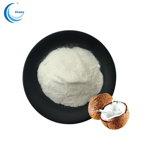 Coconut Powder Manufacturer - Natural Fruit Juice Powder