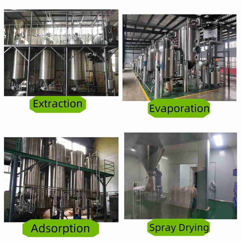 Gentian Root Extract Powder Manufacturer - Herbal Vitamin Plant Extract Food Grade Vacuum Packed