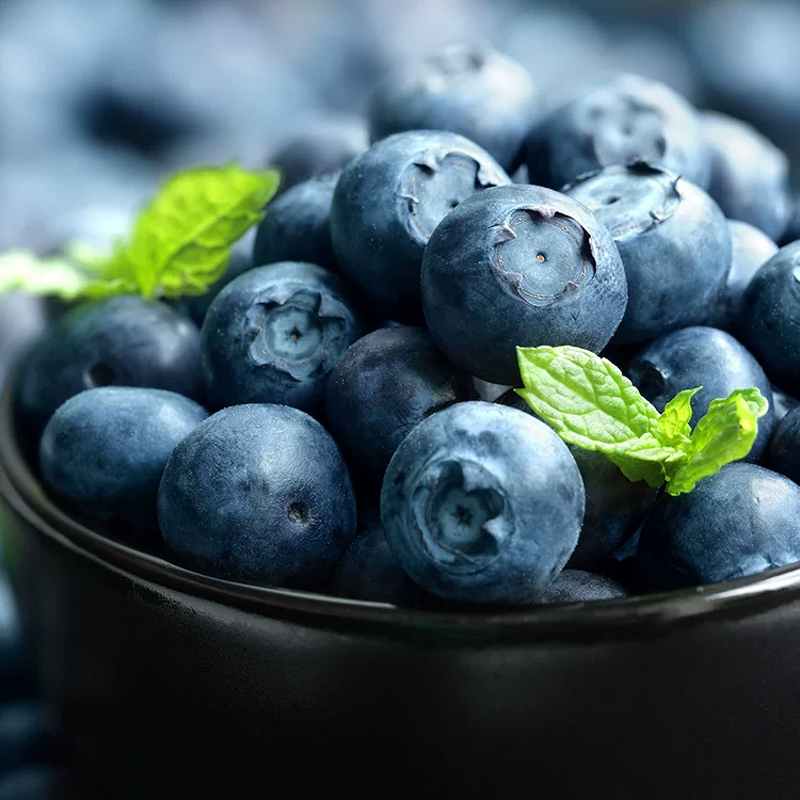 Blueberry Extract Powder Manufacturer - 25% & 46% Anthocyanins, Food Grade Wild Blueberry
