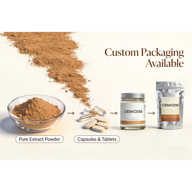 Choline Glycerophosphate Powder Manufacturer - 99% Alpha GPC, Food Grade, 80 Mesh, Vacuum Packed