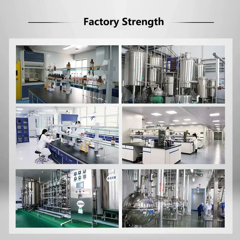 Bakuchiol Oil Manufacturer - Natural Cosmetic Grade Extract for Bulk Wholesale