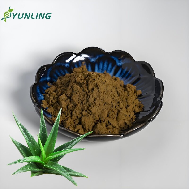 Aloe Vera Extract Powder Manufacturer - 95% Emodin, Food Grade, Halal/Kosher Certified