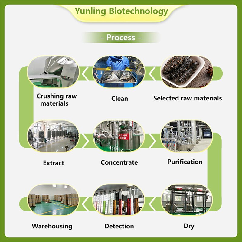 NMN Beta Powder Manufacturer - 99% Pure Herbal Extract, 5-HTP Active Nutritional Supplement