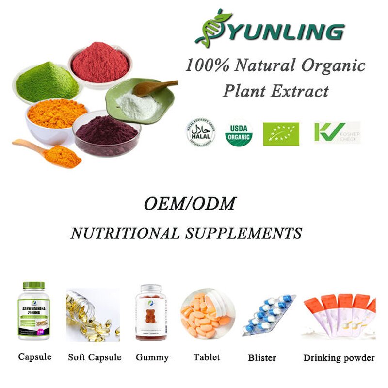 Cranberry Powder Manufacturer - Organic Fruit Juice Extract Premium Plant Extract