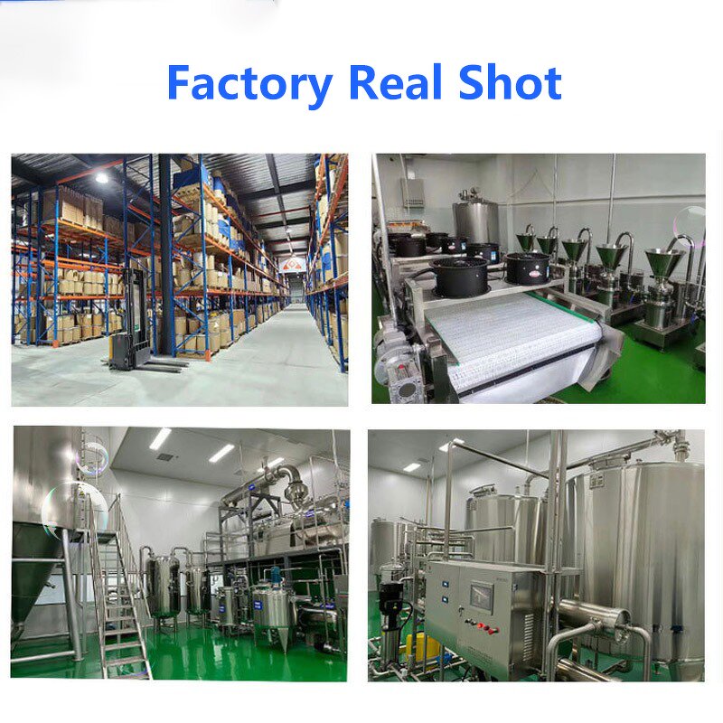 Matcha Tea Powder Manufacturer - Yunling Brand 99% Pure Organic Extract for Culinary & Ceremonial Use