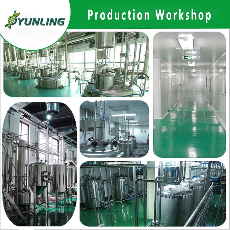 Elderberry Extract Powder Manufacturer - Natural Bulk Supply