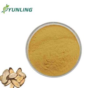 Tongkat Ali Extract Powder Manufacturer - 200:1 Freeze Dried, 98% Purity, Food Grade Herbal Supplement