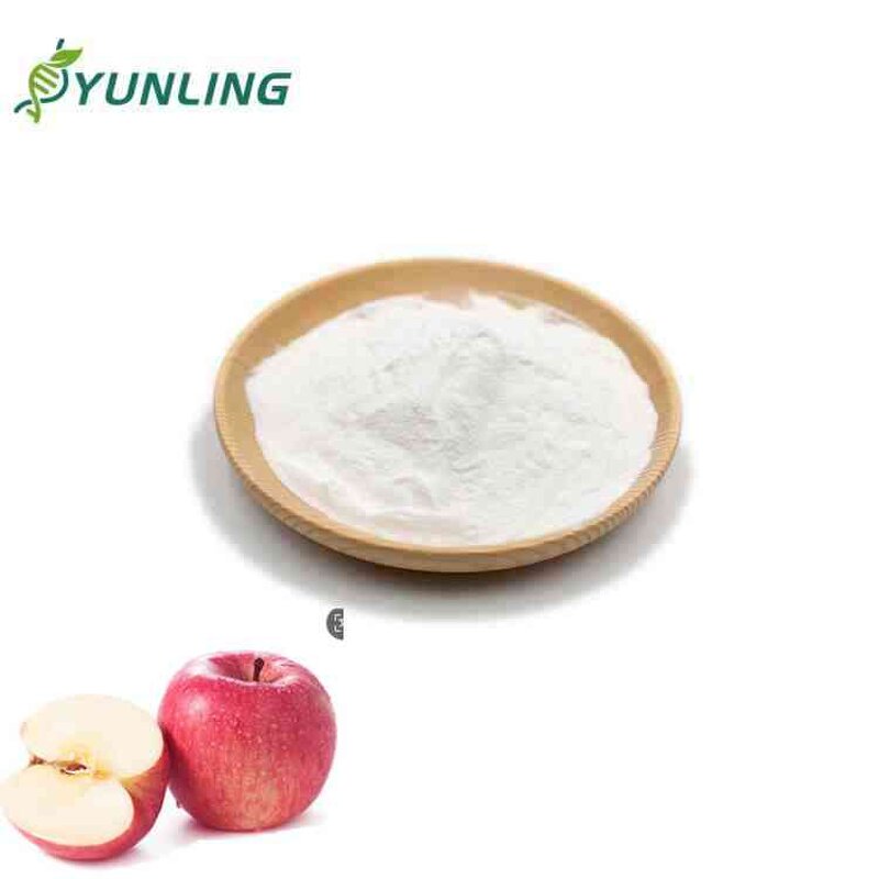 Organic Herbal Apple Cider Vinegar Powder - Food Grade Polyphenol & Fruit Extract in Drum