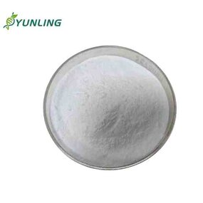 Calcium Alpha Ketoglutarate Powder Manufacturer - 99% Purity Food Grade, 5-HTP & Herbal Extract, Vacuum Packed