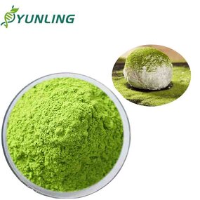 Organic Matcha Green Tea Powder Manufacturer - Food Grade 99% Pure Extract Vacuum Packed
